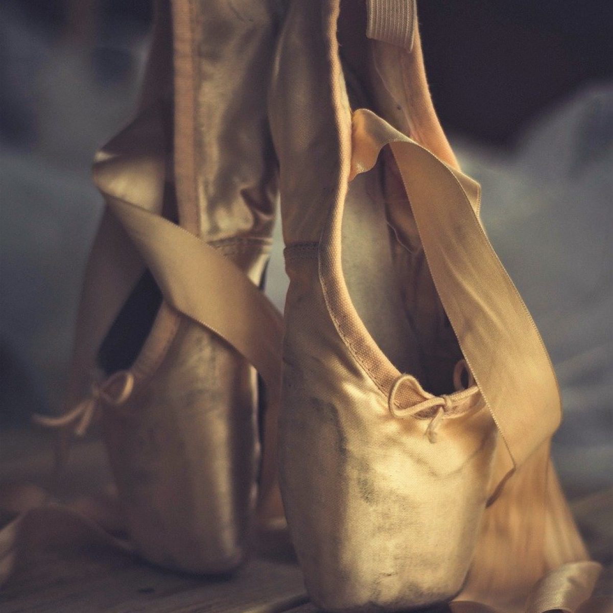 slipper, dance, ballet
